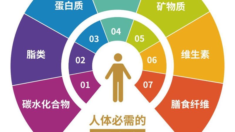 功能性食品配方设计的秘密：广州公司如何引领行业**